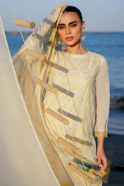 Premium Embroidered 3-Piece Lawn