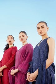 Chikankari 3 Piece Lawn